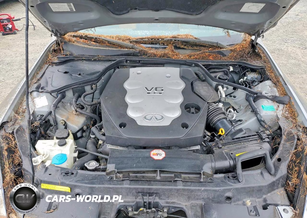 2005 Infiniti G35 Base VIN:JNKCV51E05M219769 - 11