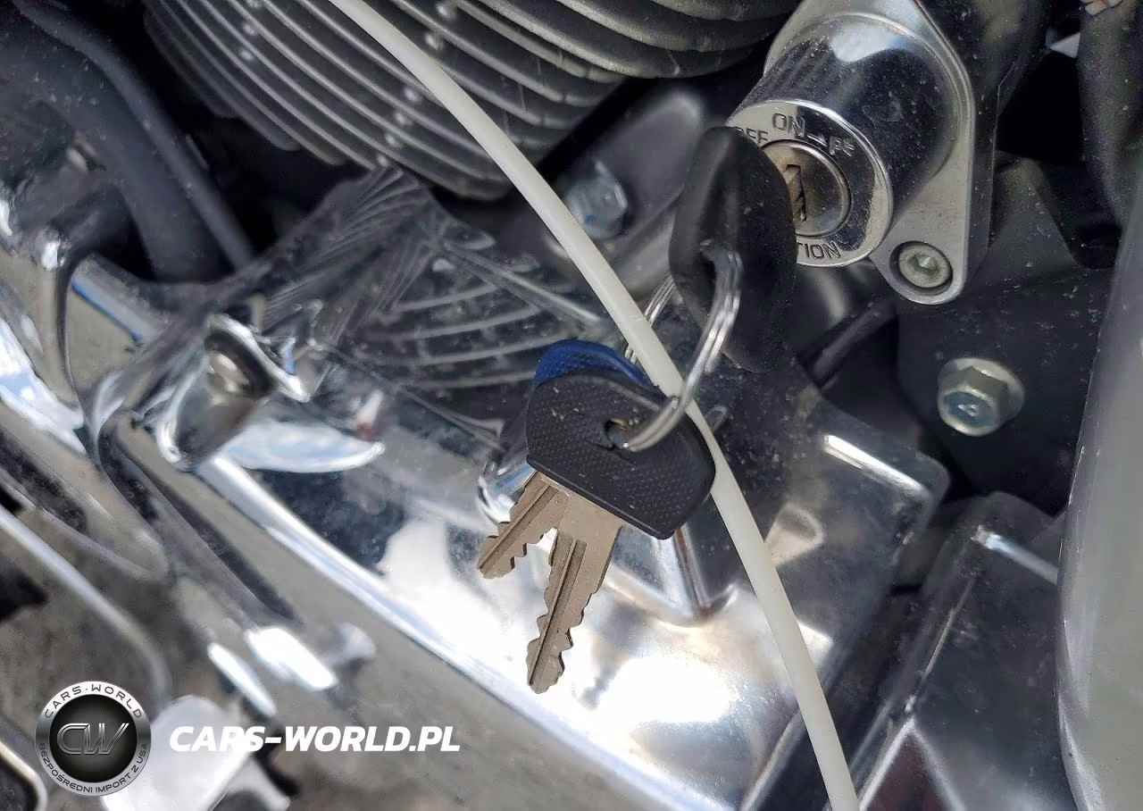 2019 Suzuki Vl1500 B VIN:JS1VY56A8K2100019 - 8