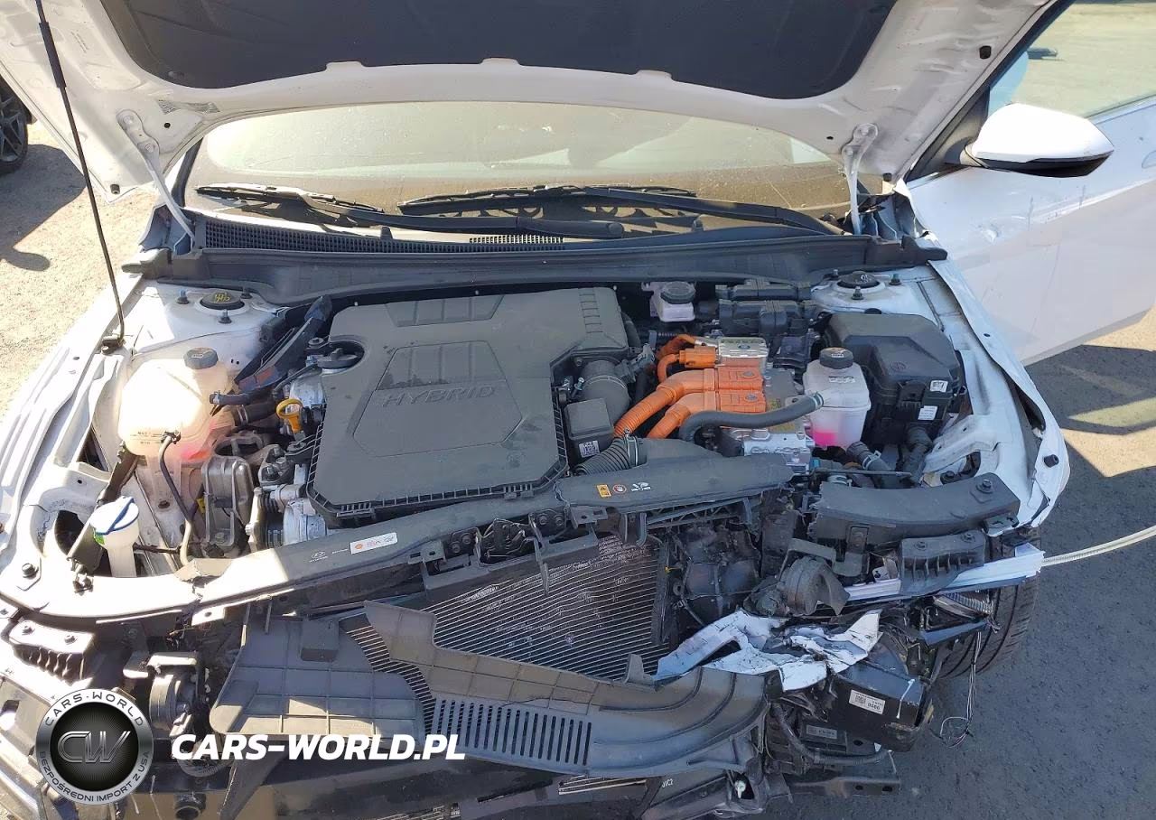 2025 Hyundai Elantra Limited VIN:KMHLN4DJ8SU141687 - 11