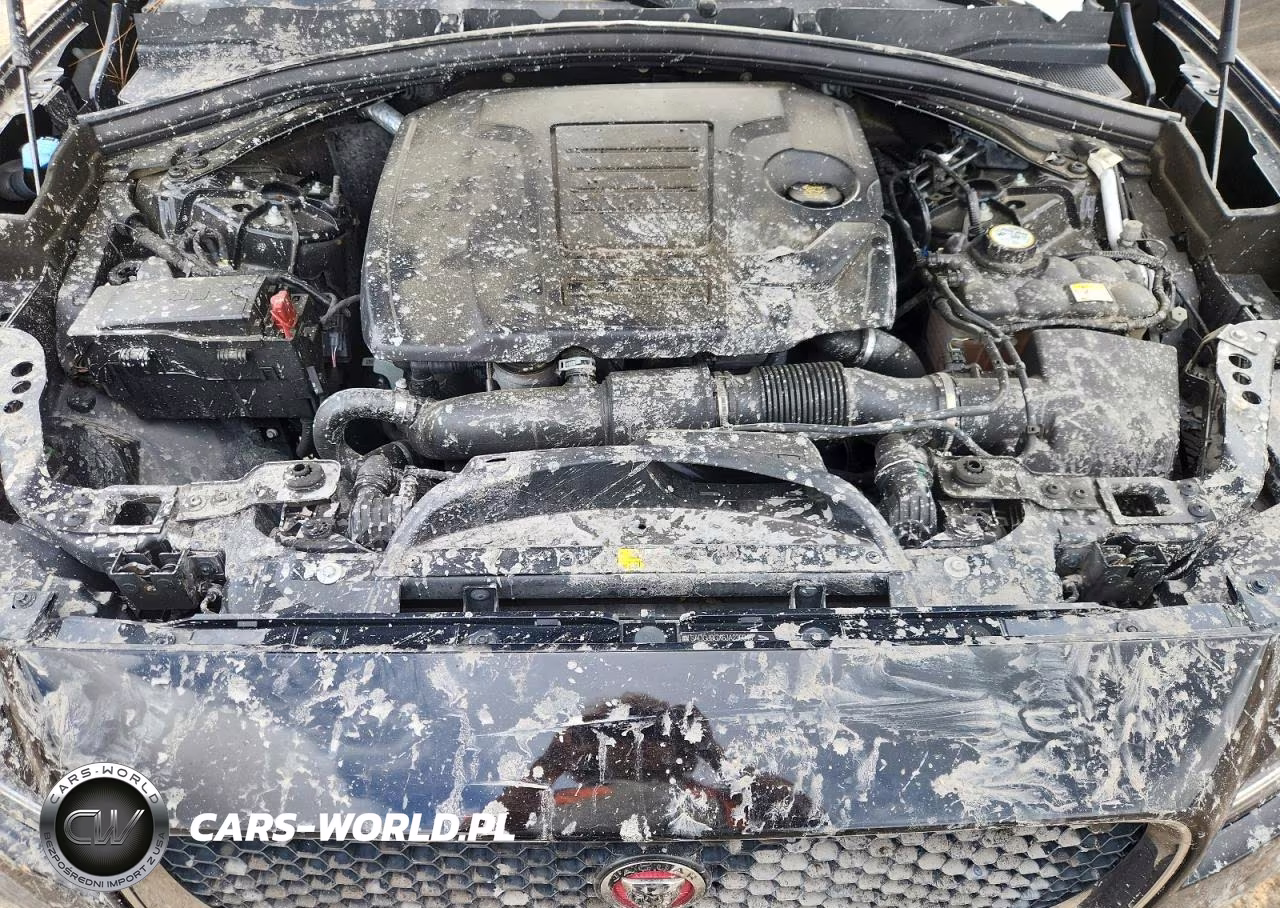 2018 Jaguar F-Pace Premium VIN:SADCJ2GX6JA236046 - 12