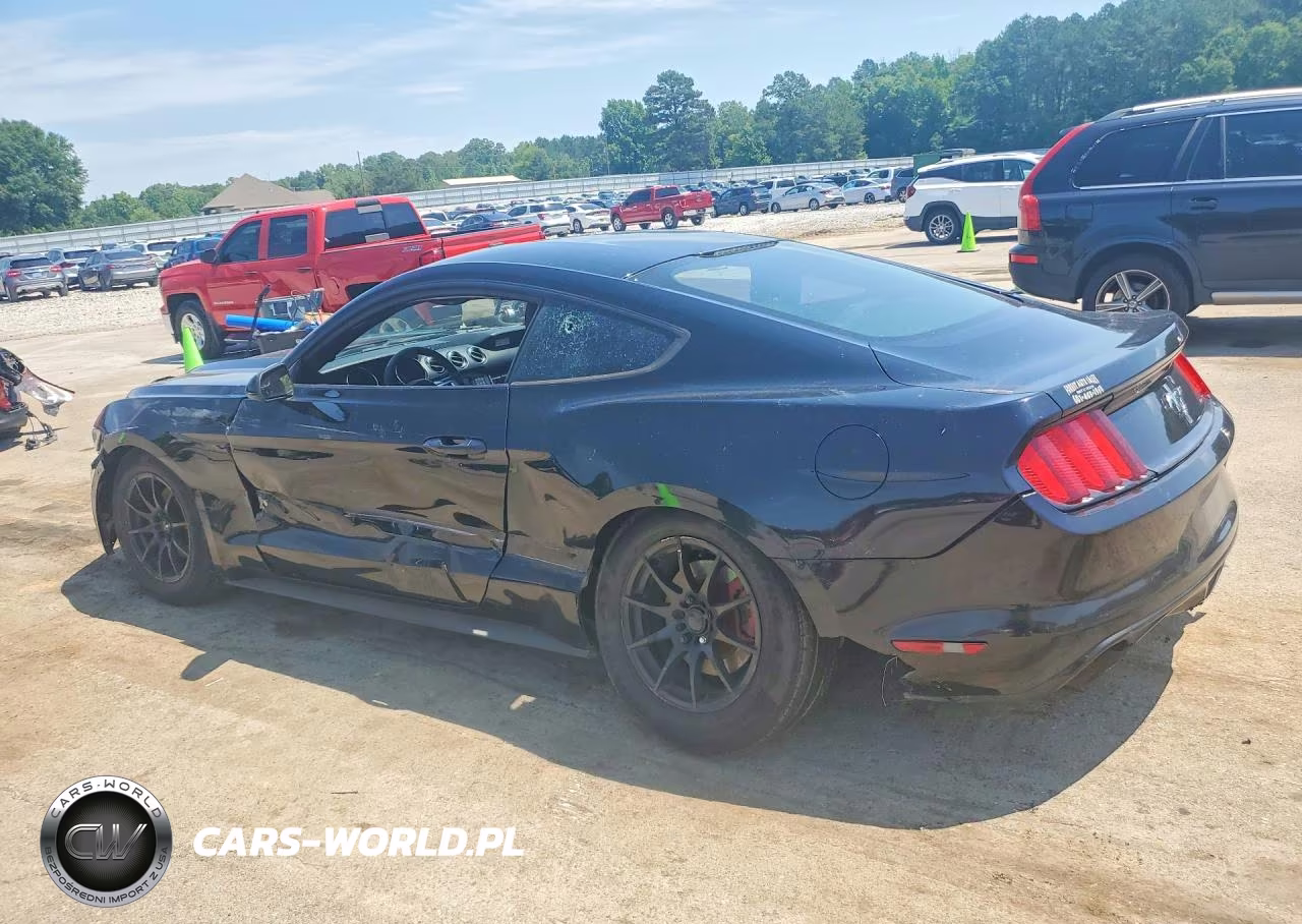 2016 Ford Mustang VIN:1FA6P8AM3G5201691 - 2