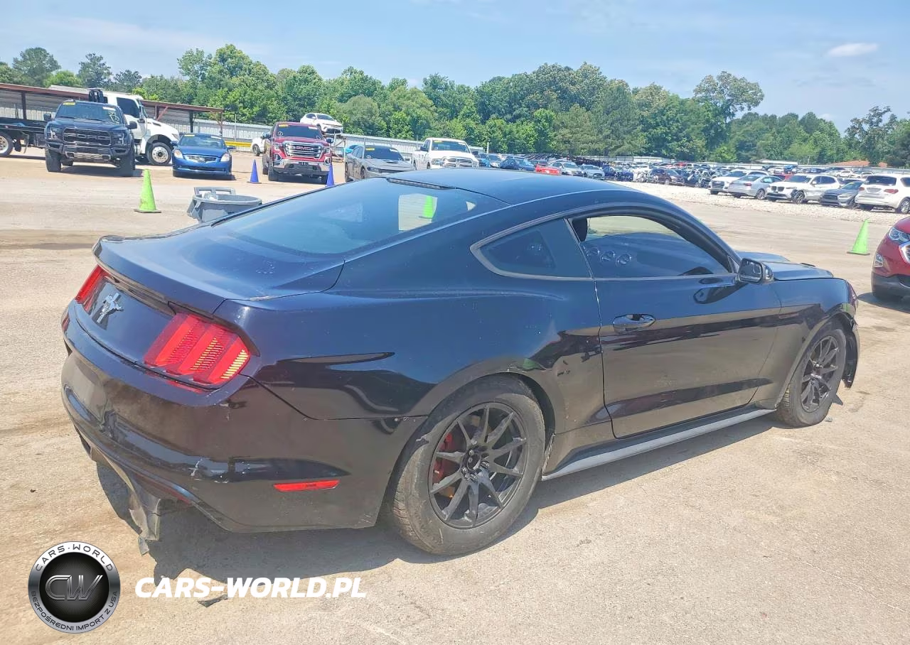2016 Ford Mustang VIN:1FA6P8AM3G5201691 - 3