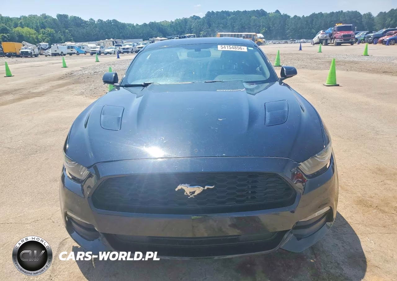 2016 Ford Mustang VIN:1FA6P8AM3G5201691 - 5