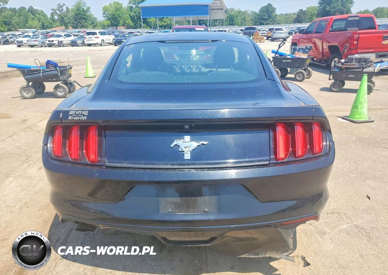 2016 Ford Mustang VIN:1FA6P8AM3G5201691 - 6