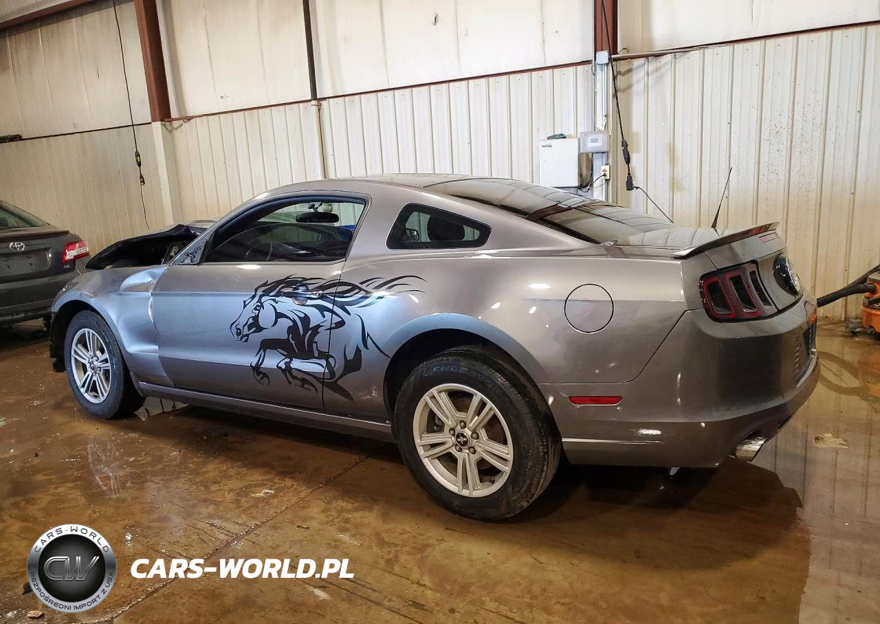 2014 Ford Mustang VIN:1ZVBP8AM6E5290109 - 2