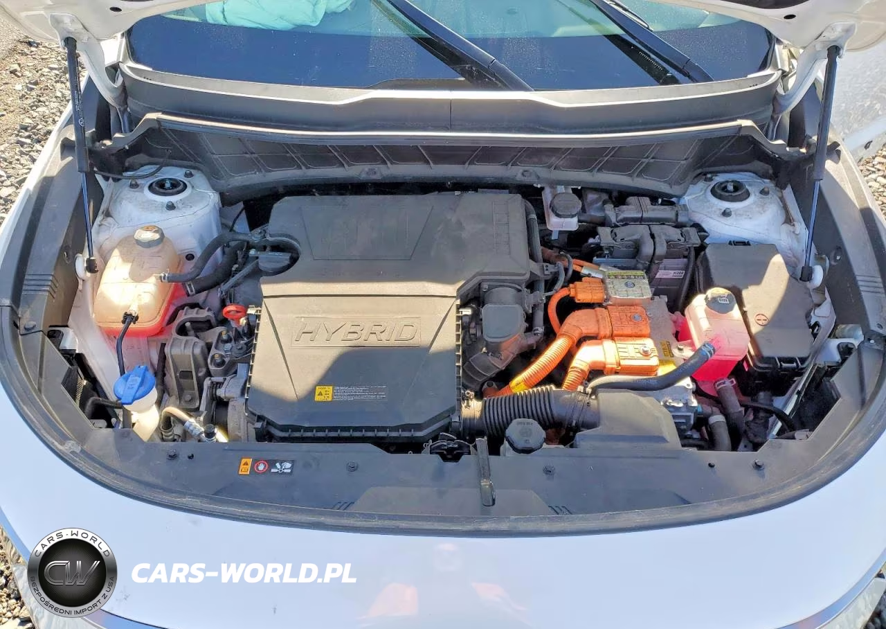2023 Kia Niro Ex VIN:KNDCR3LE9P5058407 - 11