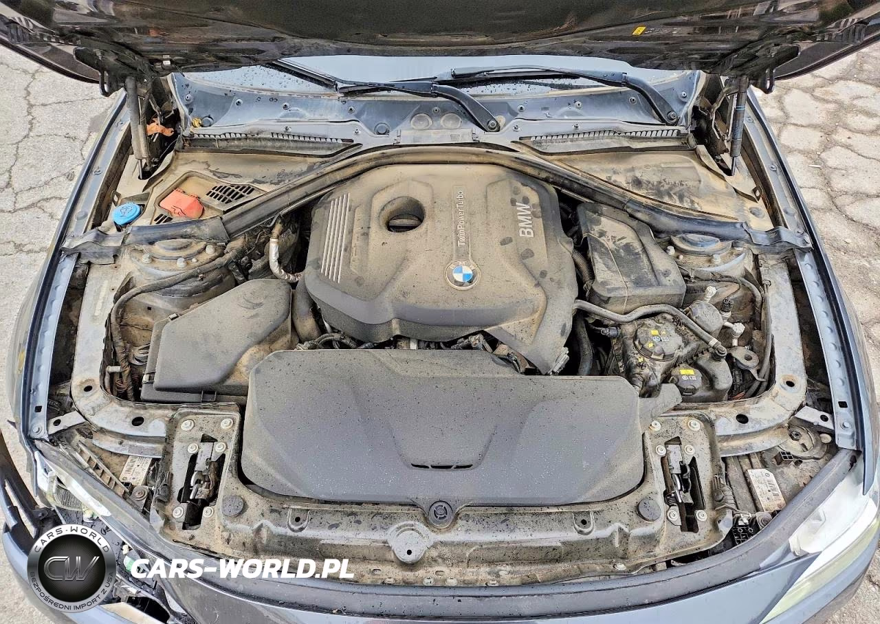 2018 BMW 330 Xi VIN:WBA8D9G54JNU67842 - 11