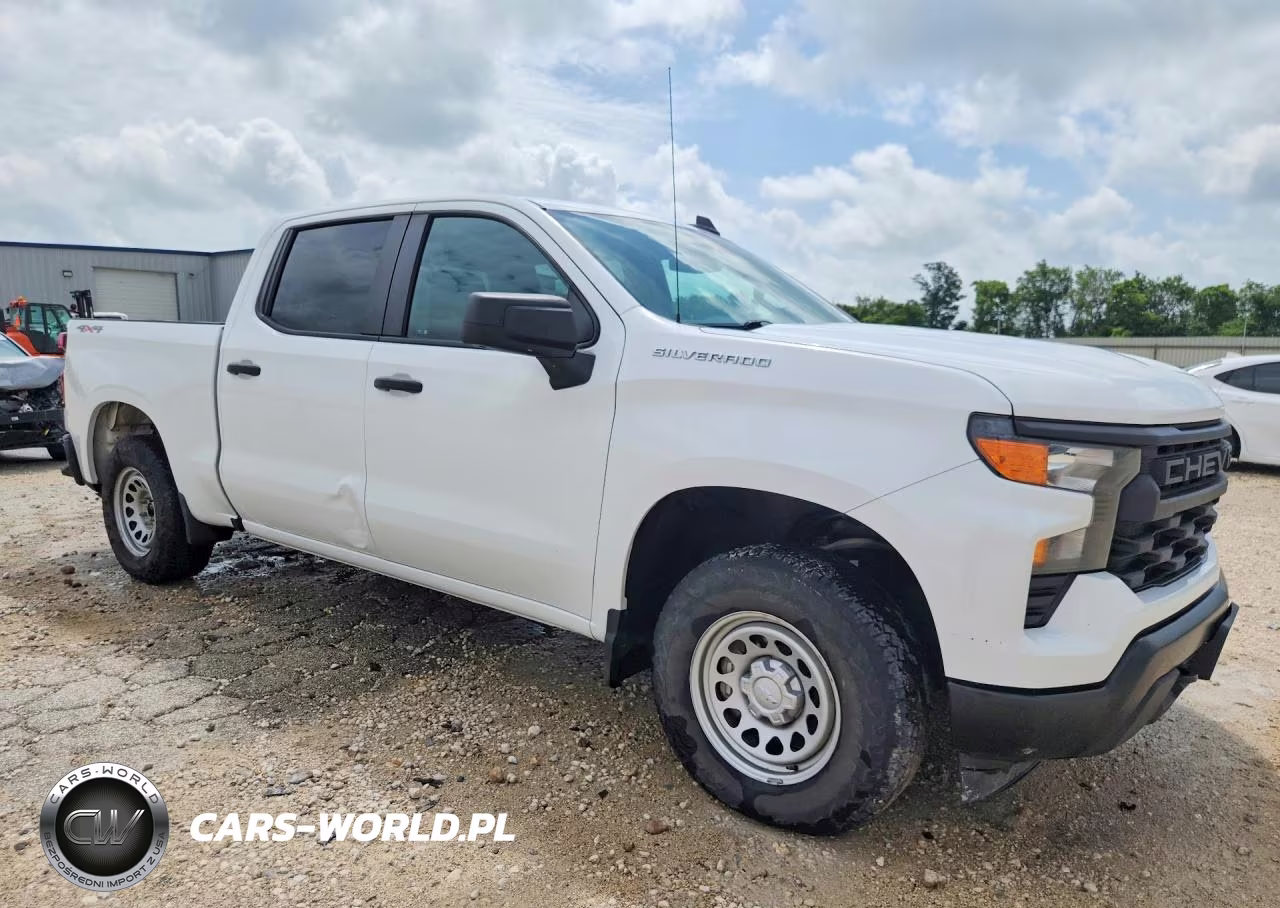 2023 Chevrolet Silverado K1500 VIN:2GCUDAEDXP1100743 - 4