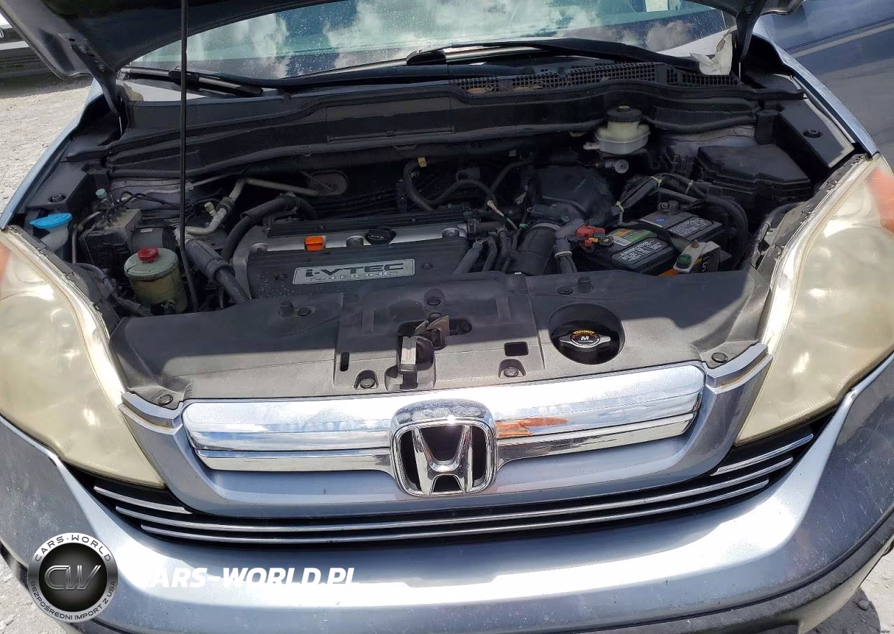 2007 Honda Cr-V Exl VIN:JHLRE38787C052256 - 12