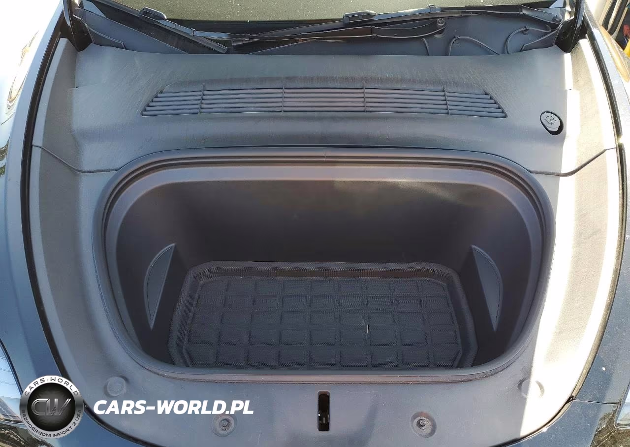 2024 Tesla Model Y VIN:7SAYGDED5RF115258 - 12