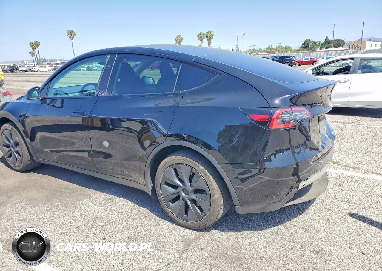 2024 Tesla Model Y VIN:7SAYGDED5RF115258 - 2