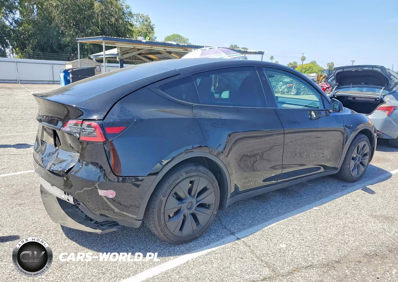 2024 Tesla Model Y VIN:7SAYGDED5RF115258 - 3