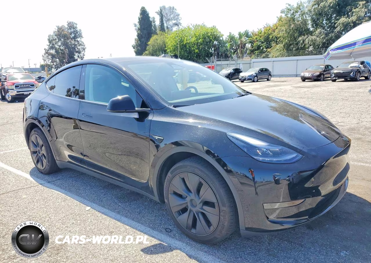 2024 Tesla Model Y VIN:7SAYGDED5RF115258 - 4