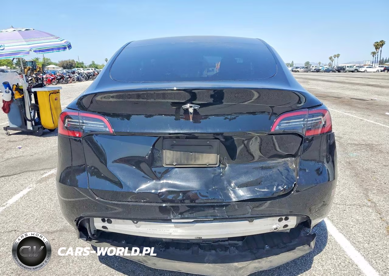 2024 Tesla Model Y VIN:7SAYGDED5RF115258 - 6