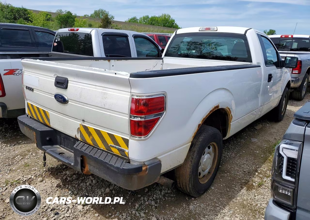 2014 Ford F150 VIN:1FTMF1CM1EKD82796 - 3