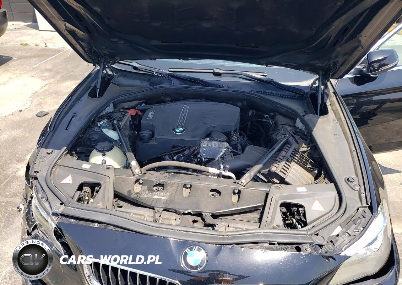 2014 BMW 528 I VIN:WBA5A5C54ED503339 - 11