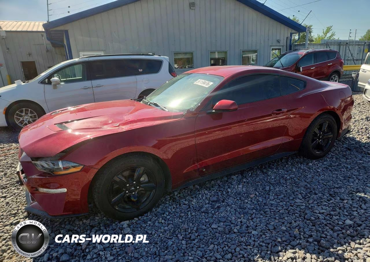 2019 Ford Mustang