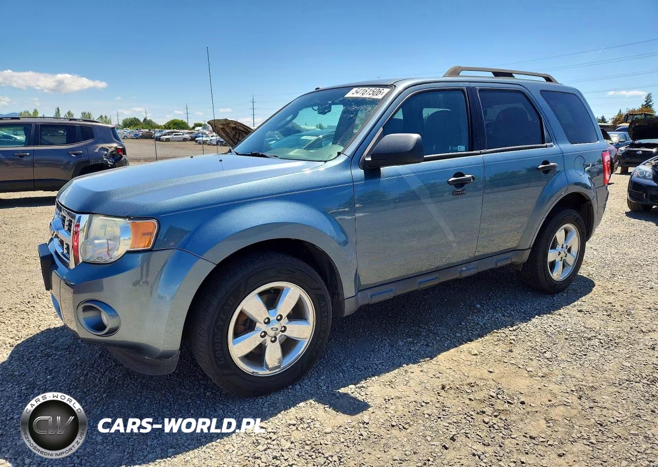 2010 Ford Escape Xlt