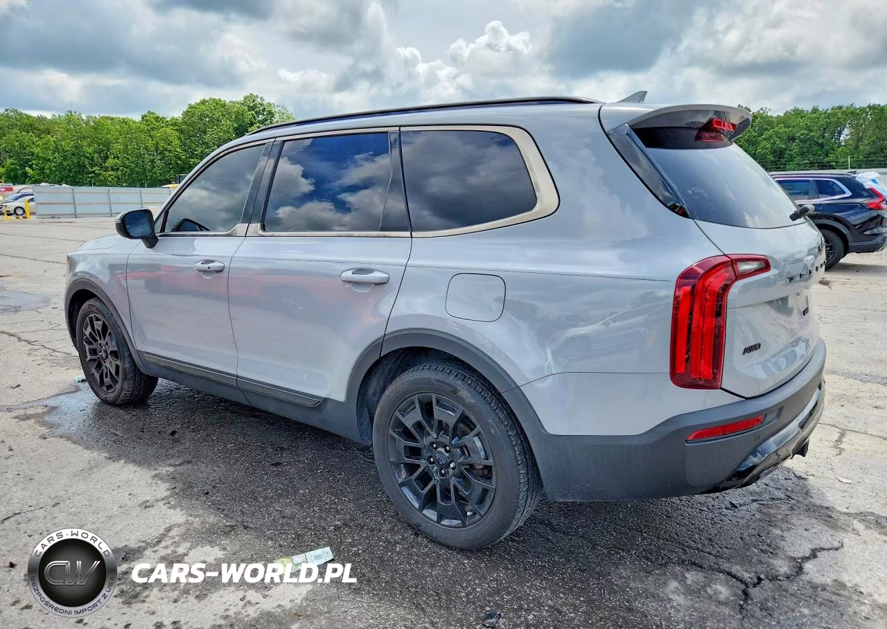 2021 Kia Telluride Ex VIN:5XYP3DHC7MG169640 - 2