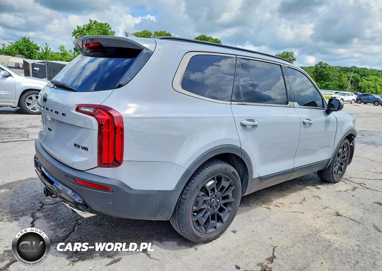 2021 Kia Telluride Ex VIN:5XYP3DHC7MG169640 - 3