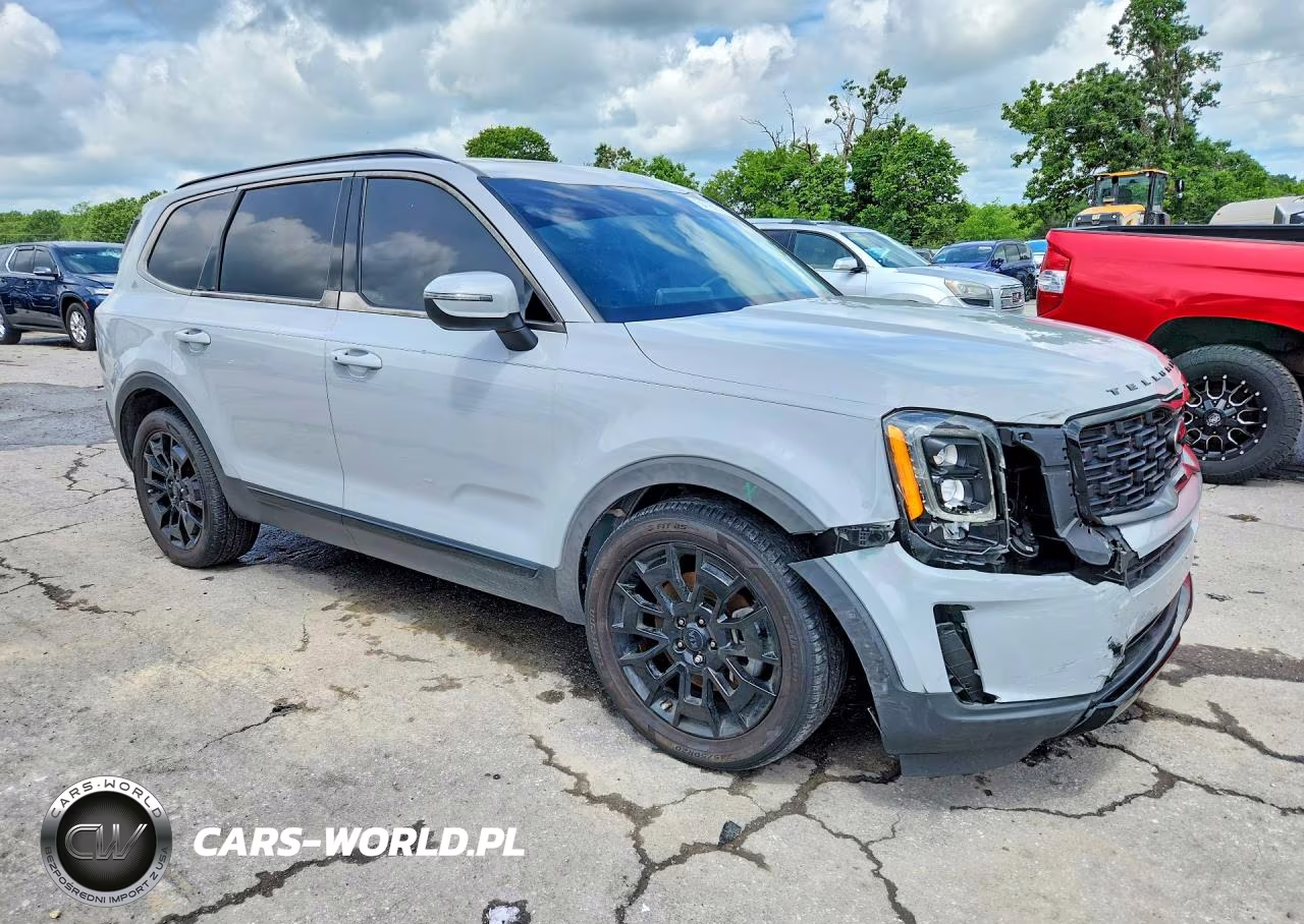 2021 Kia Telluride Ex VIN:5XYP3DHC7MG169640 - 4