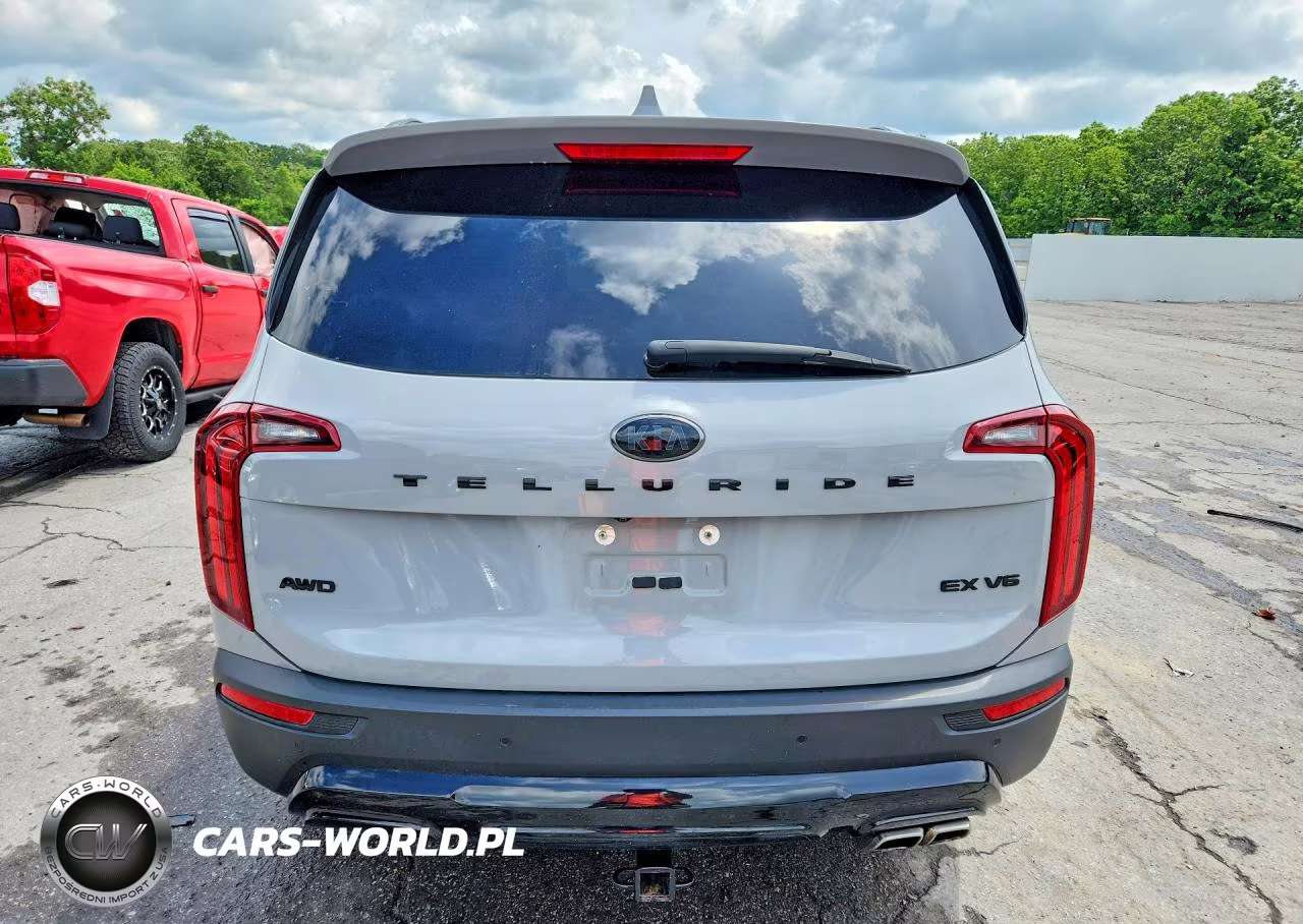 2021 Kia Telluride Ex VIN:5XYP3DHC7MG169640 - 6
