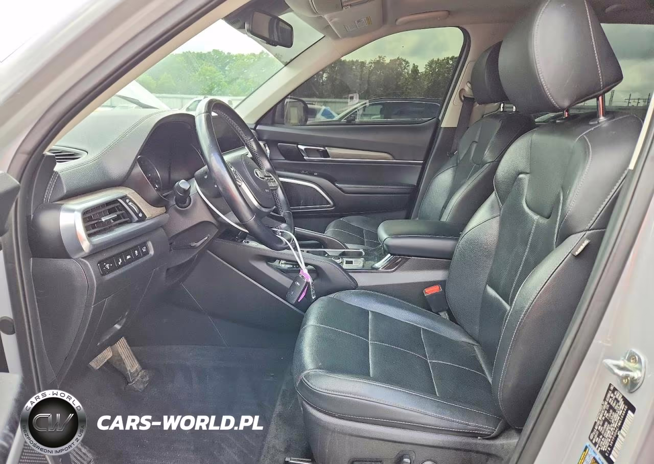 2021 Kia Telluride Ex VIN:5XYP3DHC7MG169640 - 7
