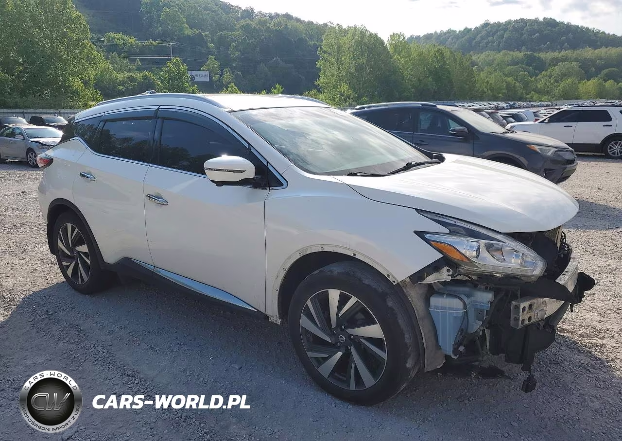 2016 Nissan Murano Platinum VIN:5N1AZ2MH1GN162119 - 4