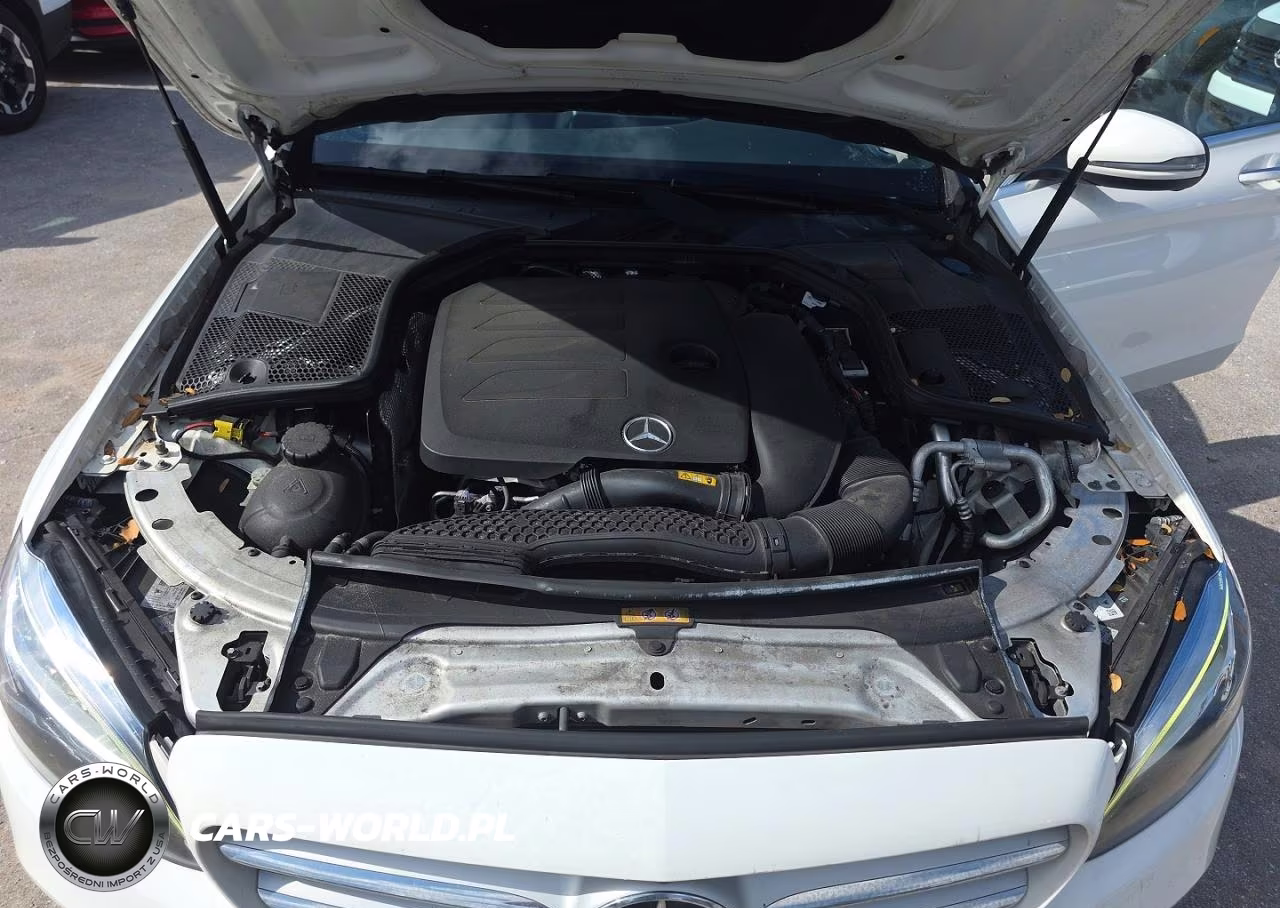 2019 Mercedes-Benz C 300 VIN:55SWF8DB1KU288407 - 7