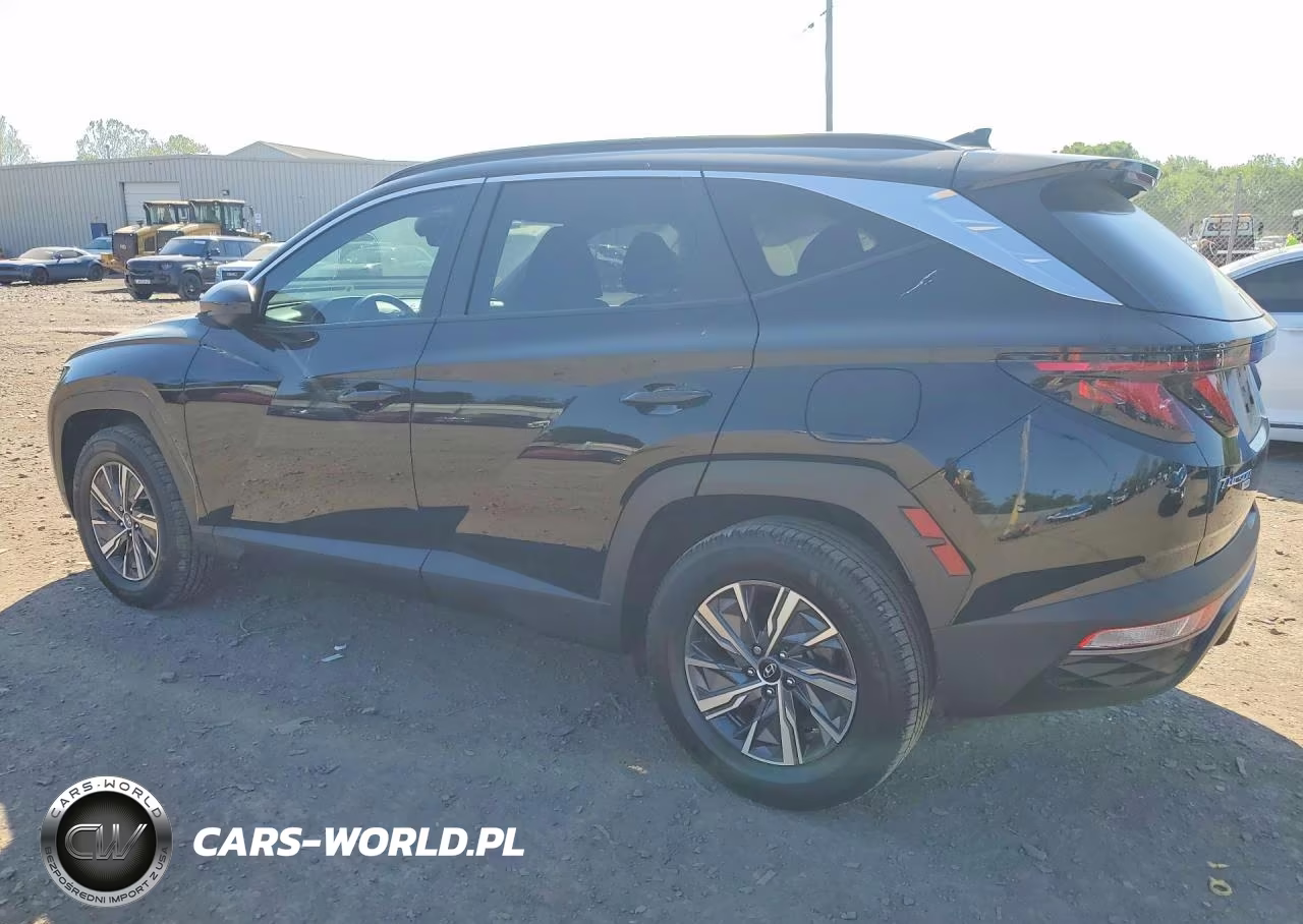 2024 Hyundai Tucson Blue VIN:KM8JBCD10RU172355 - 2