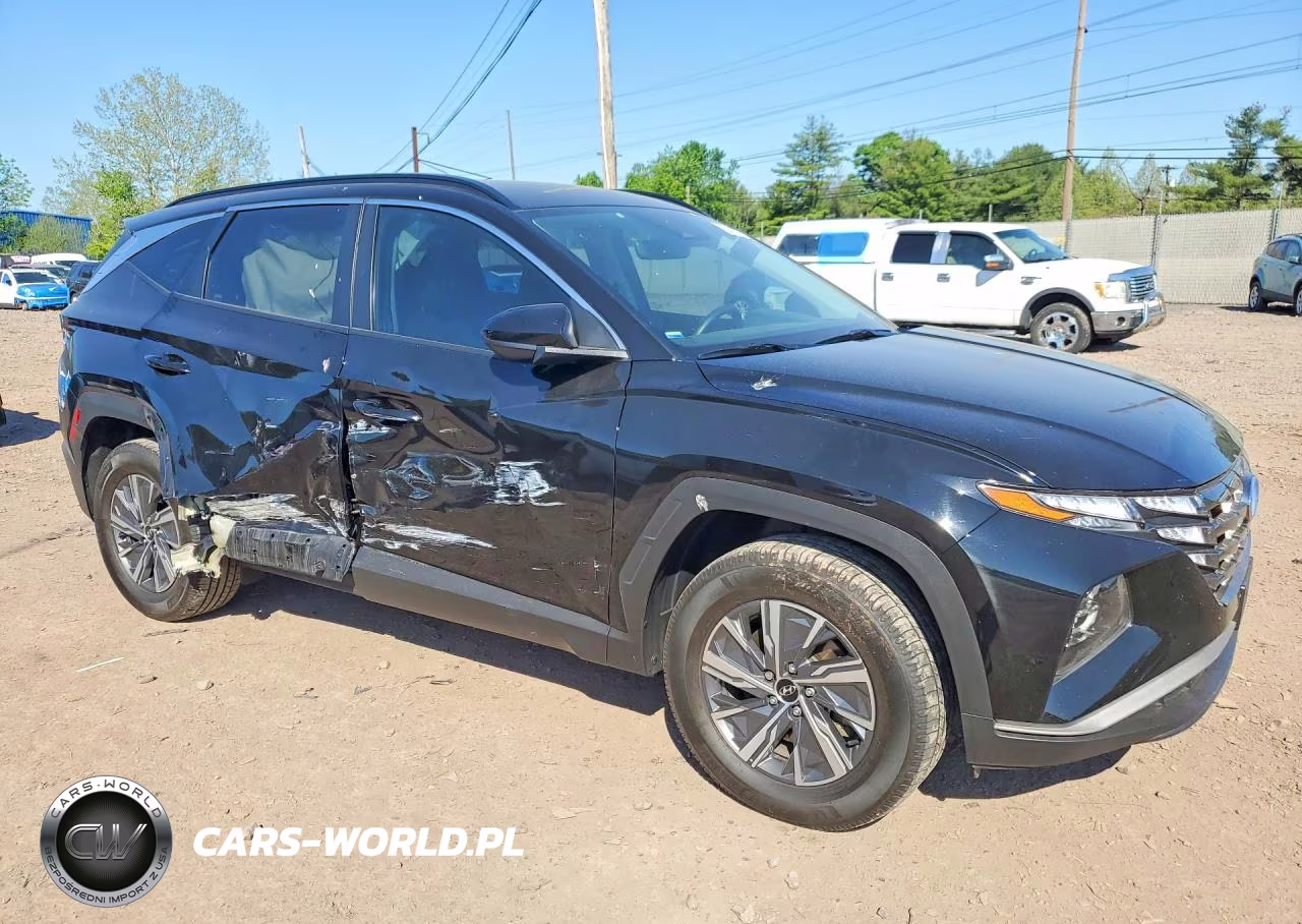 2024 Hyundai Tucson Blue VIN:KM8JBCD10RU172355 - 4