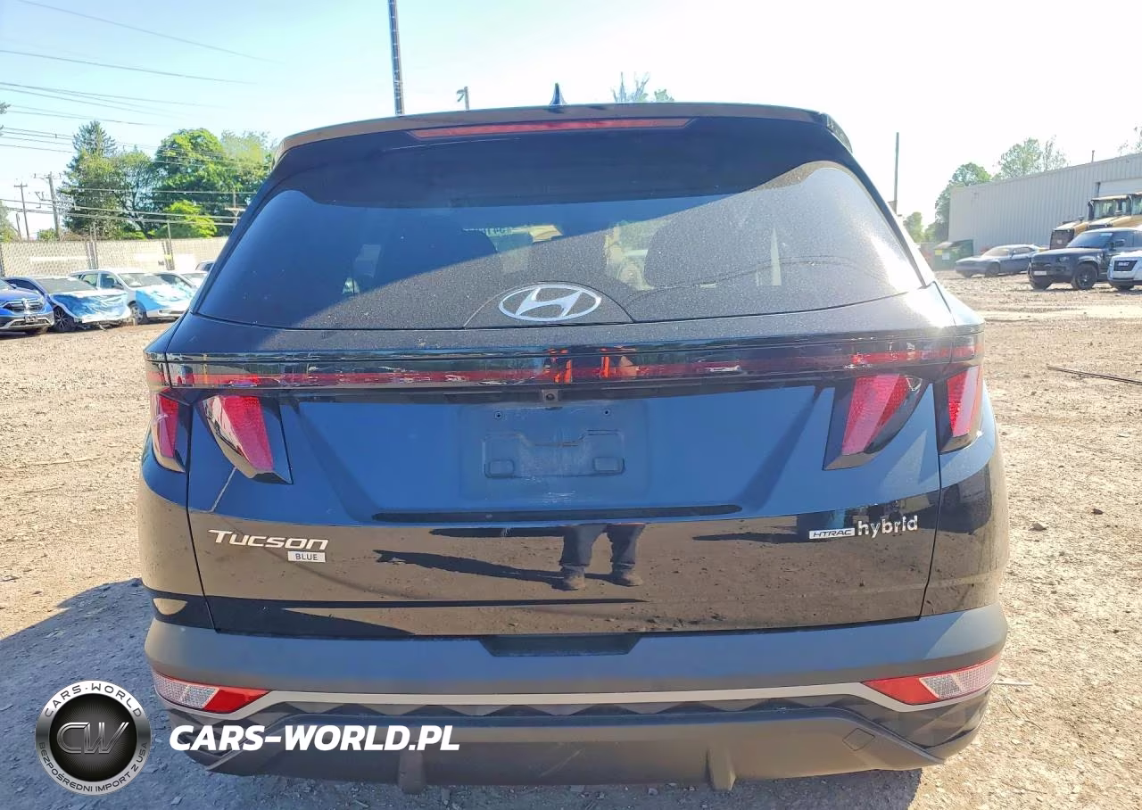 2024 Hyundai Tucson Blue VIN:KM8JBCD10RU172355 - 6