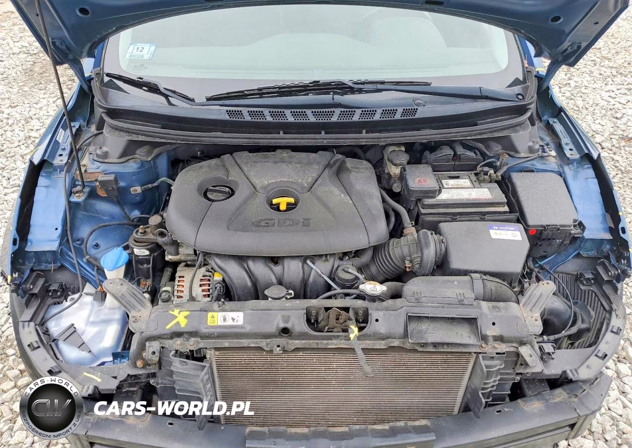 2014 Hyundai Elantra Coupe Base VIN:KMHDH6AHXEU025100 - 11