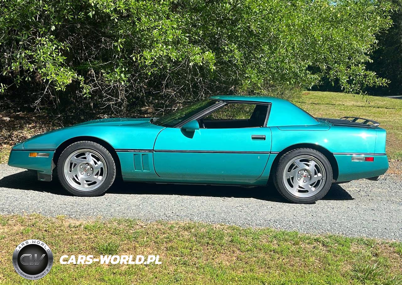 1990 Chevrolet Corvette VIN:1G1YY3383L5116565 - 12