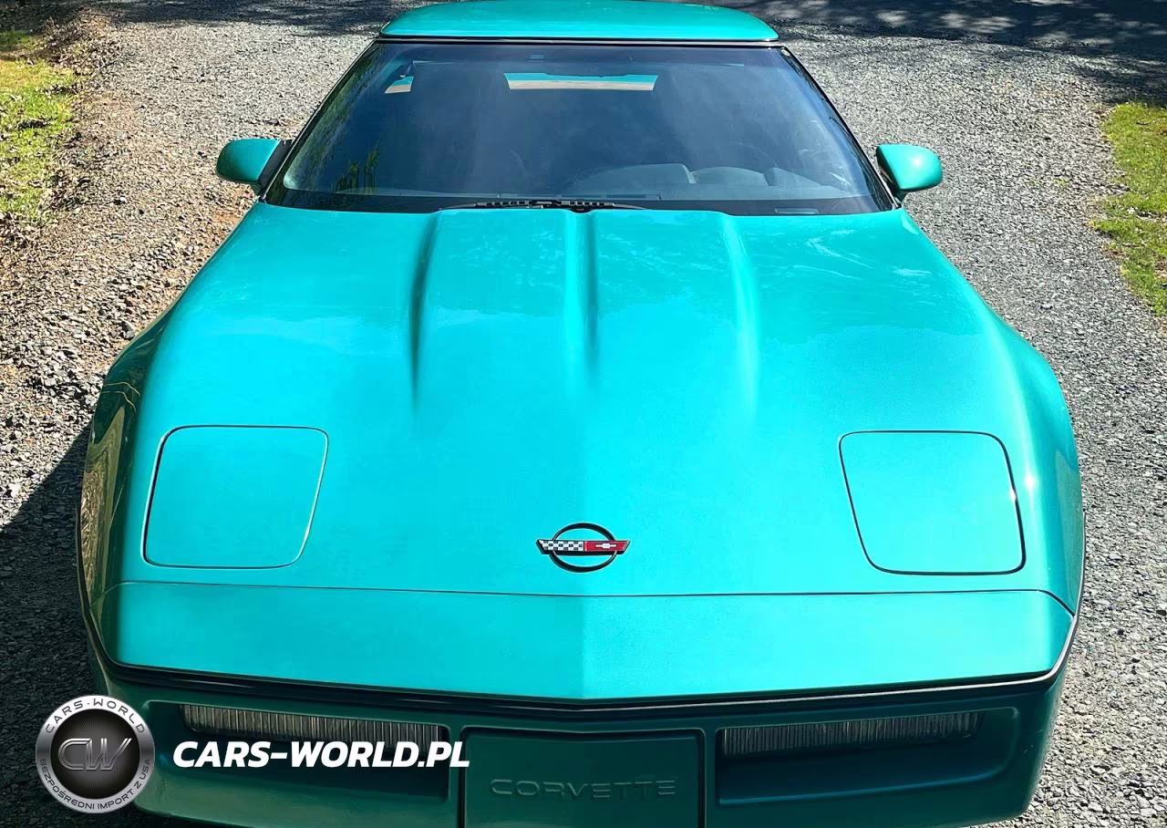 1990 Chevrolet Corvette VIN:1G1YY3383L5116565 - 13