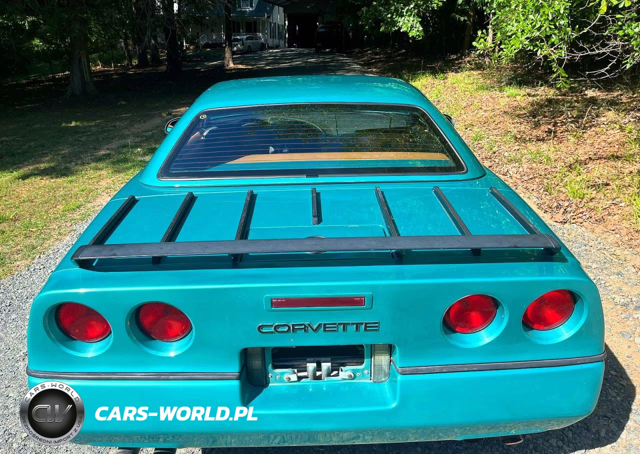 1990 Chevrolet Corvette VIN:1G1YY3383L5116565 - 14