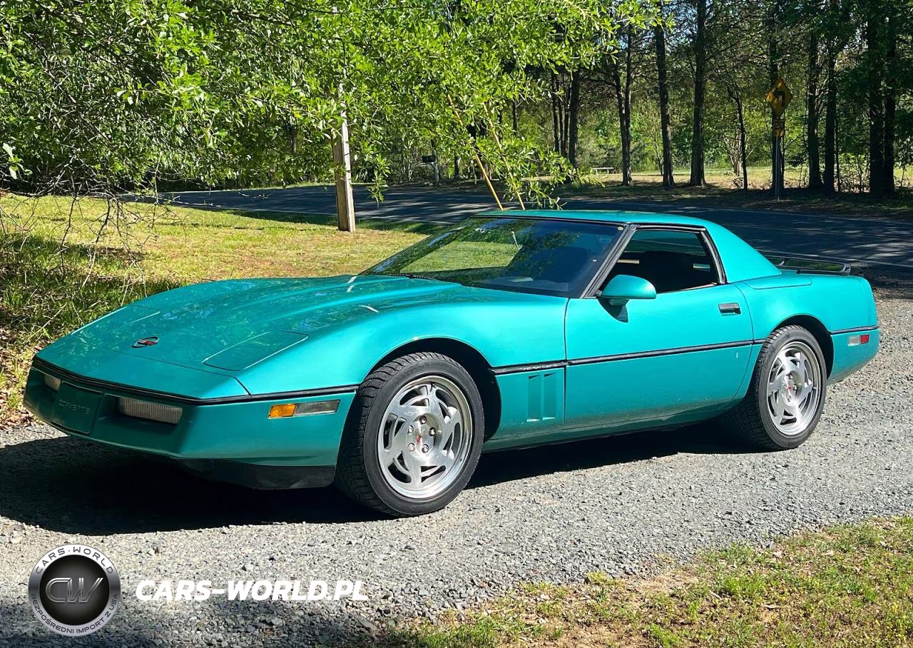 1990 Chevrolet Corvette VIN:1G1YY3383L5116565 - 2