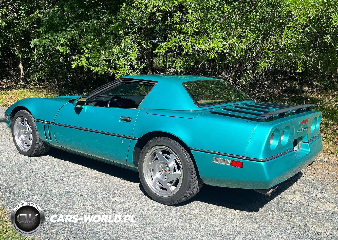1990 Chevrolet Corvette VIN:1G1YY3383L5116565 - 3