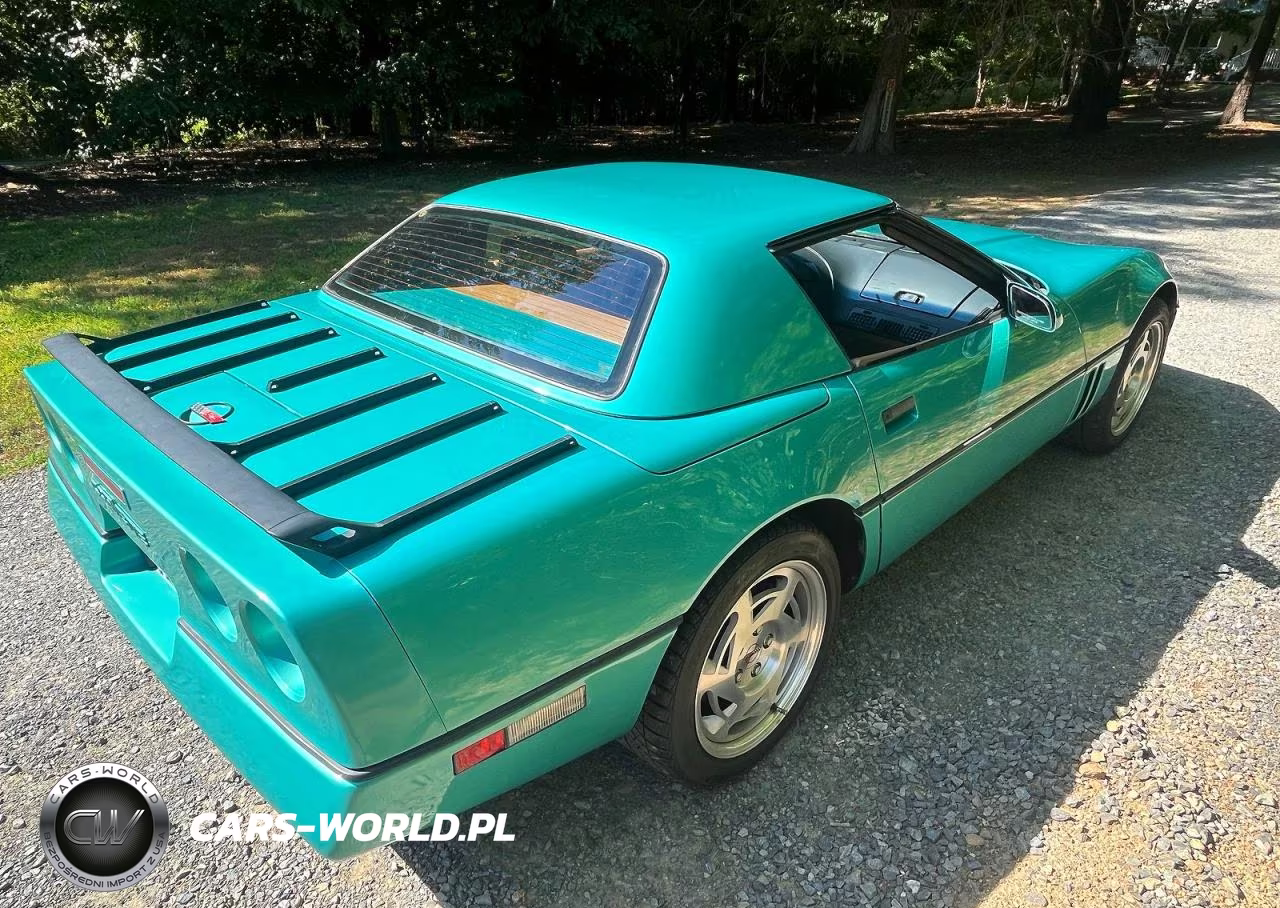 1990 Chevrolet Corvette VIN:1G1YY3383L5116565 - 4