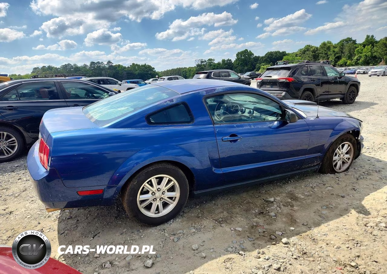 2007 Ford Mustang VIN:1ZVFT80N375273942 - 3