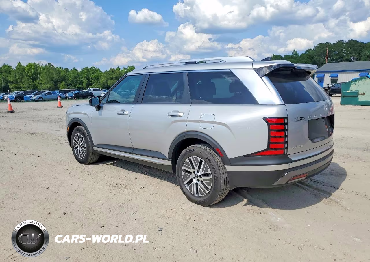 2026 Hyundai Palisade Blue Sel VIN:KM8RL5SA6TU071228 - 2