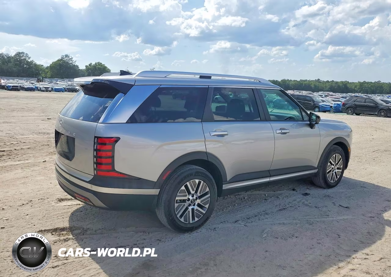 2026 Hyundai Palisade Blue Sel VIN:KM8RL5SA6TU071228 - 3