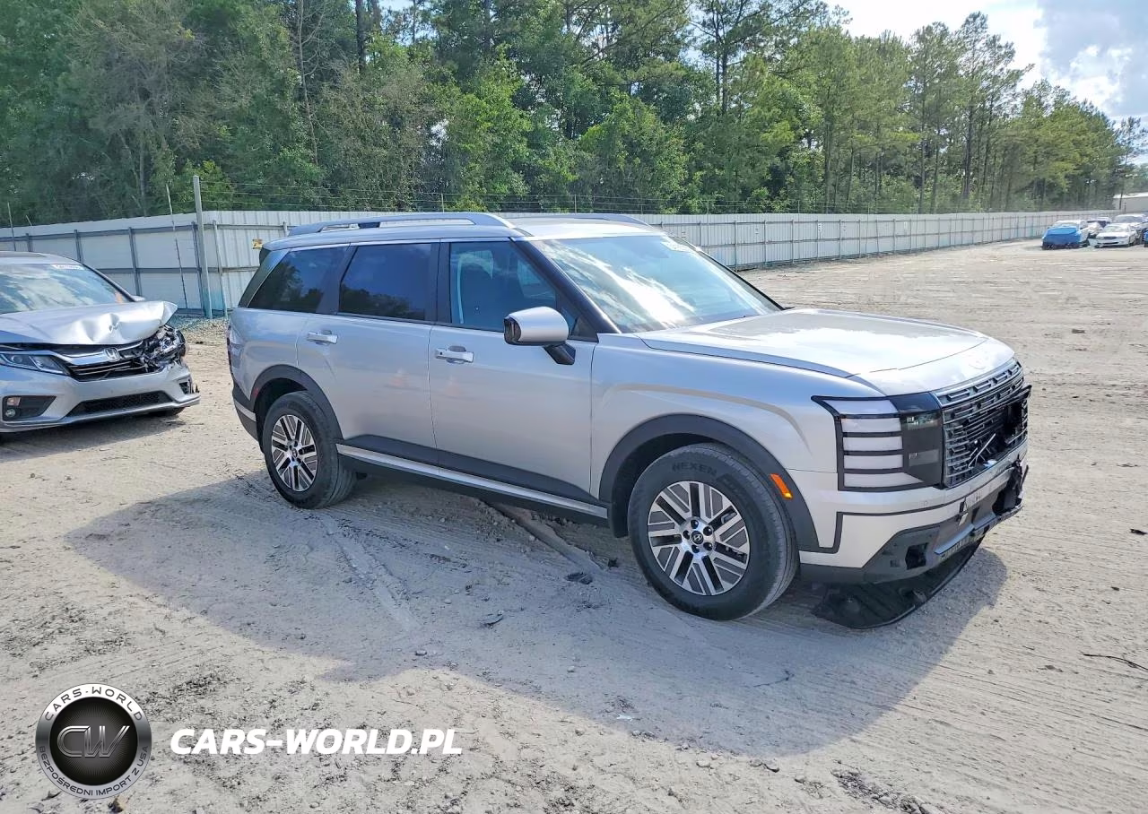 2026 Hyundai Palisade Blue Sel VIN:KM8RL5SA6TU071228 - 4