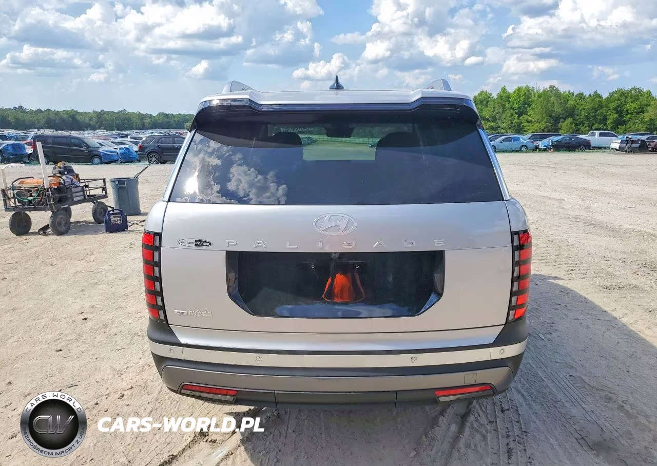 2026 Hyundai Palisade Blue Sel VIN:KM8RL5SA6TU071228 - 6