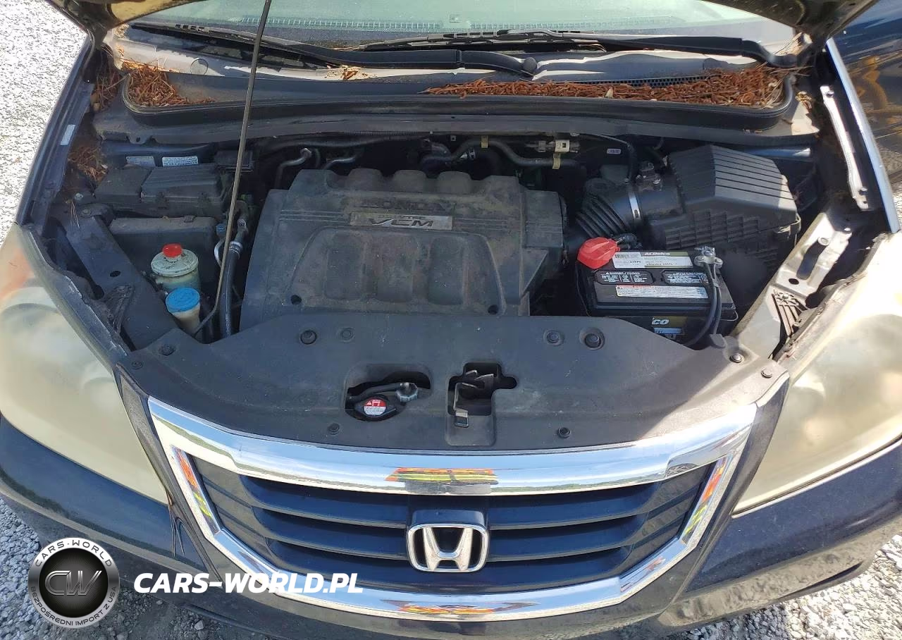 2009 Honda Odyssey Exl VIN:5FNRL38759B408137 - 12