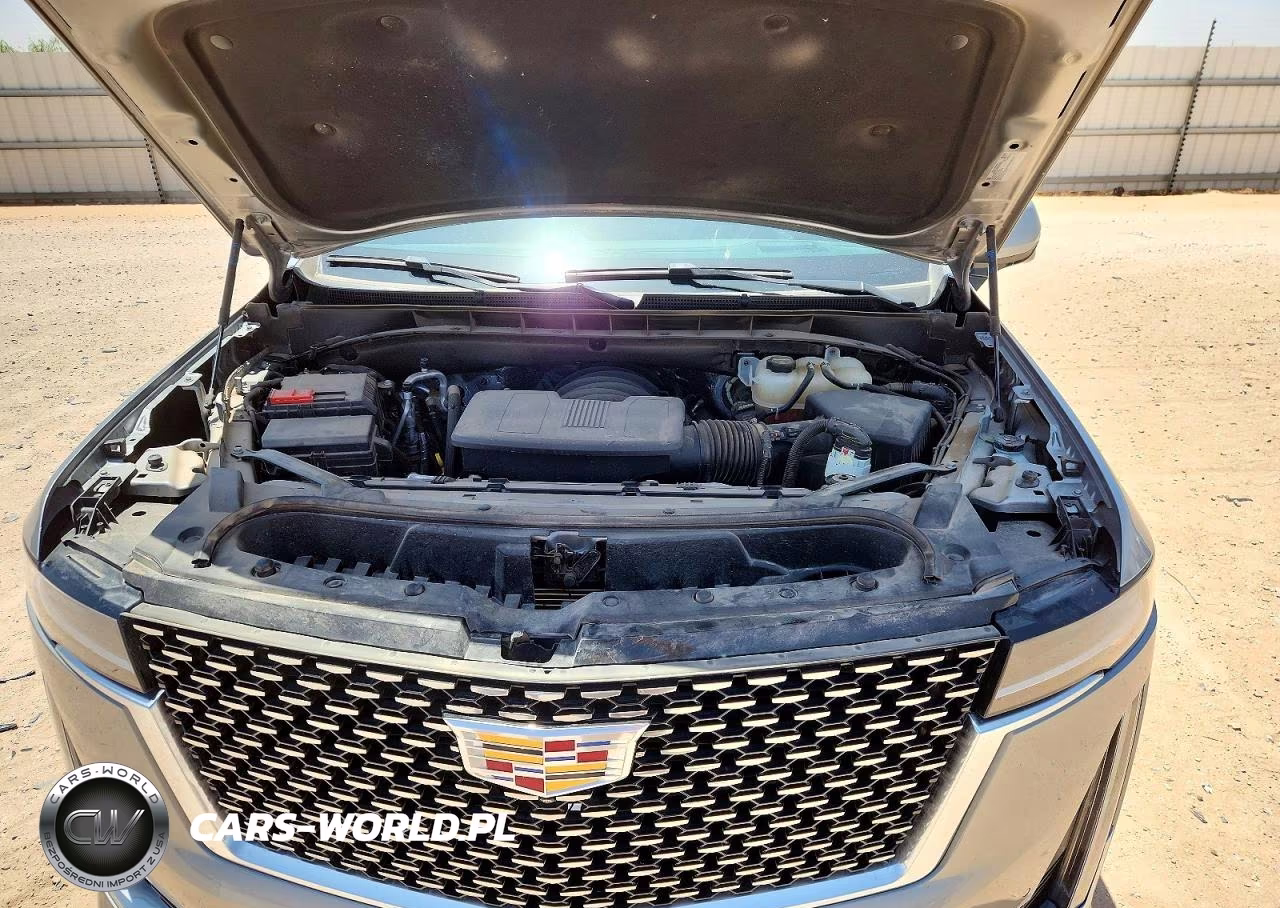 2024 Cadillac Escalade Premium Luxury VIN:1GYS4BKL5RR317761 - 12