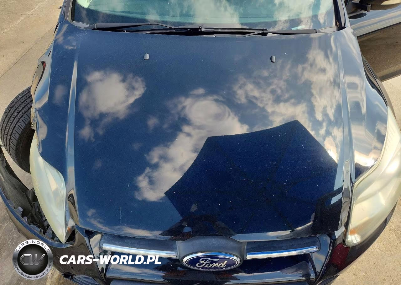 2014 Ford Focus Se VIN:1FADP3F27EL352852 - 11
