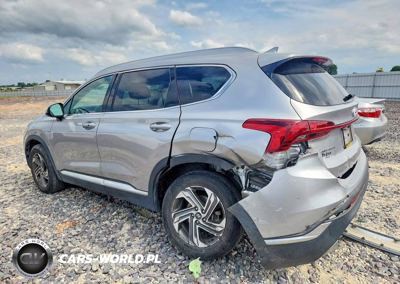2021 Hyundai Santa Fe Sel VIN:5NMS24AJ5MH355916 - 2