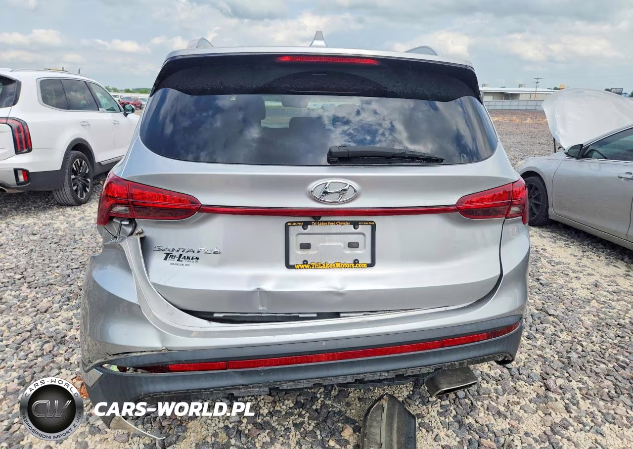 2021 Hyundai Santa Fe Sel VIN:5NMS24AJ5MH355916 - 6