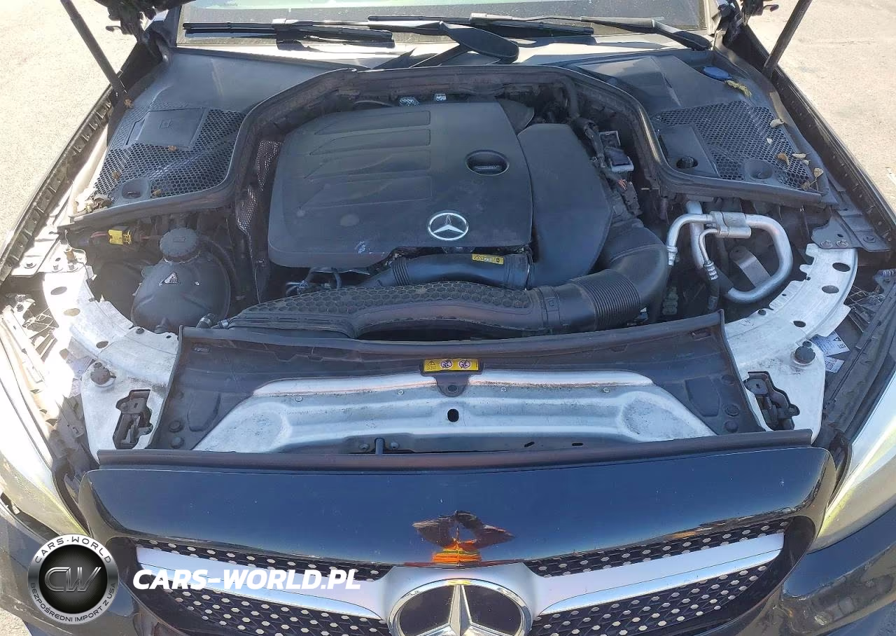 2019 Mercedes-Benz C 300 4Matic VIN:WDDWJ8EB5KF875354 - 12
